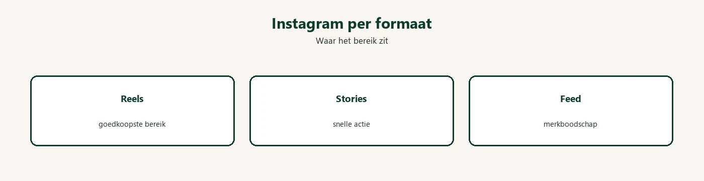 Diagram: Instagram advertentieformaten Reels Stories Feed