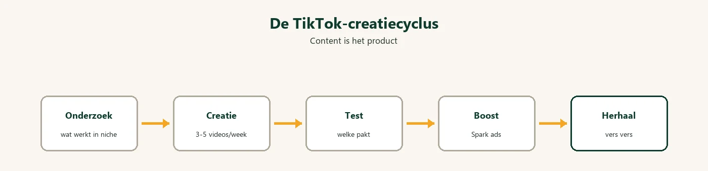 De TikTok-creatiecyclus