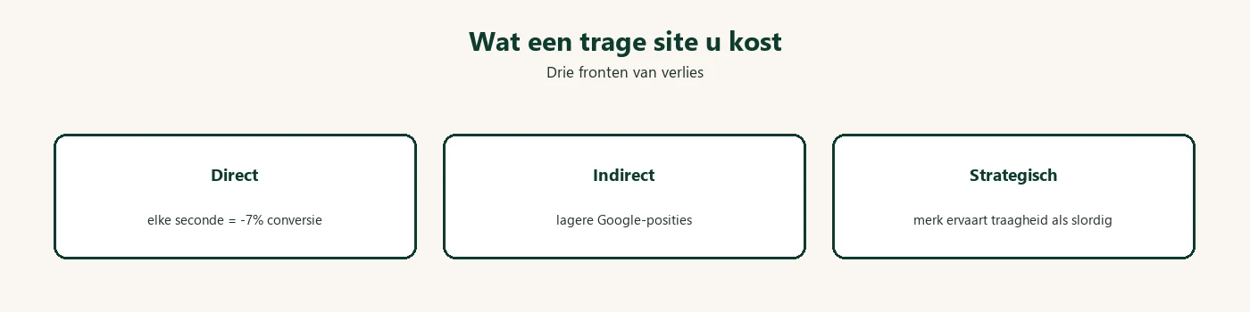 Diagram: kosten trage website